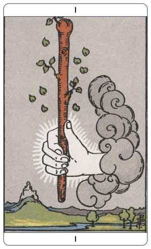 Ace of Wands